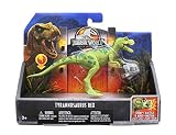 Get ready for thrilling action and adventure with Jurassic World toys! The Jurassic World Legacy Collection roars into action celebrating classic moments, themes and characters from the blockbuster film franchise! These dinosaur action figures feature articulated arms and legs, realistic sculpting and authentic decoration. Each dinosaur also has an action feature unique to its character and species like chomping, jumping, flapping or spitting!