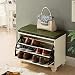 Produktbild Laptopständer DD Brown Shoe Storage Bank Mit Flip-Schublade, Schuhschrank Mit Abnehmbarem Gepolsterten Sitz -Werkbank (Farbe : Weiß)