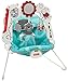 Fisher-Price 2-in-1 Sensory Stages Bouncer