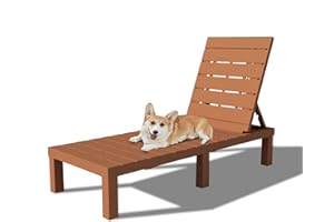 RAPTAVIS Outdoor Lounge Chair, Pool Chaise Lounge Waterproof Sunloungers, Caramel