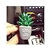 Produktbild SUxian Kaktus Parfüm Clip, 3D Simulation von Sukkulenten Auto Klimaanlage Parfüm Clip Auto Aromatherapie Ornament (grüne Aloe)