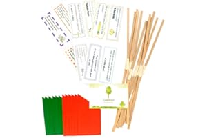 LiveMoor Kit d'accessoires pour fabrication de crackers - Standard