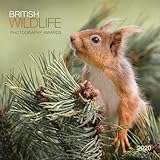 British Wildlife Photography Awards 2020 Calendar (Calendars 2020)