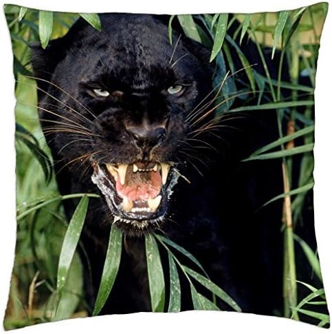 DONT DISTURB MEMORIE OF BLACKPANTHER - Throw Pillow Cover Case (18" x 18")