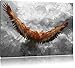 Produktbild Adler mit leuchtenden Augen in Bild auf Leinwand, XXL riesige Bilder fertig gerahmt mit Keilrahmen. Kunstdruck auf Wandbild mit Rahmen. Günstiger als Gemälde oder Ölbild, kein Poster oder Plakat., Format:120x80 cm
