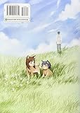 Image de Wolf Children: Ame & Yuki