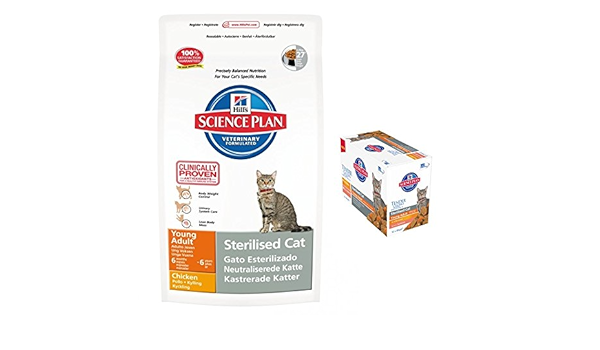 hills sterilised dog