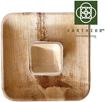Combo of 10 Square Eco friendly Appetizer Plates &amp; Dip Bowls disposable &amp; multi-use party plates by EARTHIOR