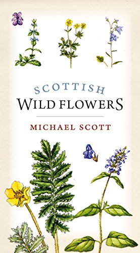 Scottish Wild Flowers