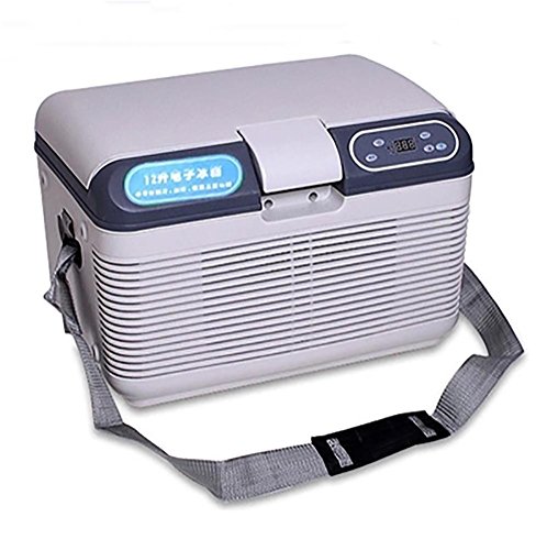 Preisvergleich Produktbild FRIDGE Auto Kühlschrank 12L Mini-Kühlschrank mit Gefrierfach