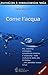 Produktbild Come l'acqua. PNL, coaching ontologico, competenze emotive e leadership nella rivoluzione della vita di Andrea... che potrebbe essere la tua