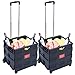 Produktbild DXP 2er Einkaufstrolley bis 35kg Transport Trolley klappbar Einkaufswagen Transportwagen Klappbox Shopping Trolley Aluminium Kunststoff Schwarz (2) WS-01
