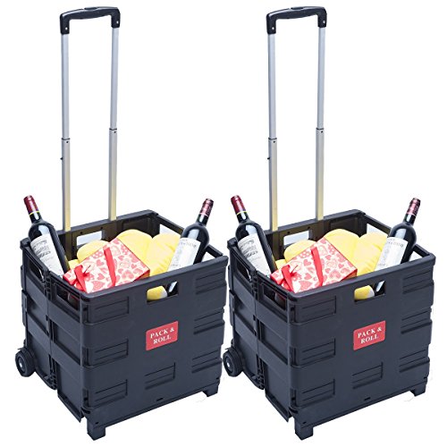 DXP 2er Einkaufstrolley bis 35kg Transport Trolley klappbar Einkaufswagen Transportwagen Klappbox Shopping Trolley Aluminium Kunststoff Schwarz (2) WS-01