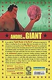 Image de Andre the Giant: Closer to Heaven