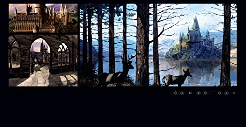 Harry-Potter-The-Art-of-Harry-Potter-Das-groe-Harry-Potter-Buch