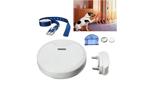pets manager digital invisible fence