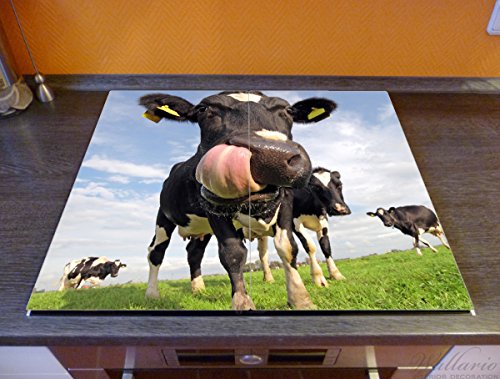 Wallario Herdabdeckplatte / Spritzschutz aus Glas, 2-teilig, 60x52cm, für Ceran- und Induktionsherde, Lustige Kuh auf der Weide mit herausgestreckter Zunge - 2