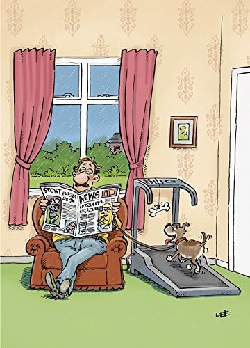 Dogs Walking On Treadmill - Humour Greetings Card 10571 (Happy Birthday)