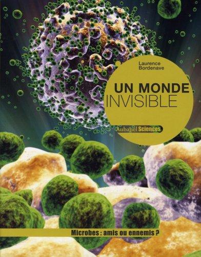 couverture de : Un monde invisible