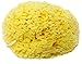 Honeycomb Natural Sea Sponge - Strong and durable - suitable for both children and adults, for use in bathing, cleansing, exfoliating and applying cosmetics