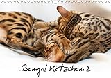Bengal Kätzchen 2 (Wandkalender 2018 DIN A4 quer): Bengal Kitten für das ganze Jahr (Monatskalender, 14 Seiten ) (CALVENDO Tiere) by 