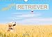 Produktbild Happy Retriever (Wandkalender 2019 DIN A4 quer): 13 liebevoll ausgesuchte Golden Retriever Portraits (Monatskalender, 14 Seiten ) (CALVENDO Tiere)