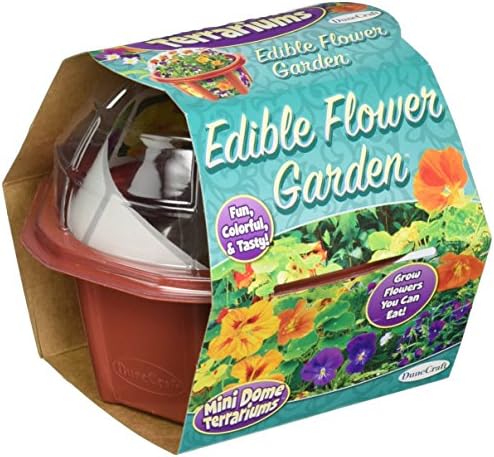 Dunecraft 28073 Edible Flowers Mini Dome