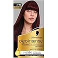 Schwarzkopf Oleo Intense Permanent Oil Colour 4-23 Burgundy Red Hair Dye, 100% Grey Coverage, Conditioner with HaptIQ System, Long-Lasting Colour, Ammonia Free Hair Dye