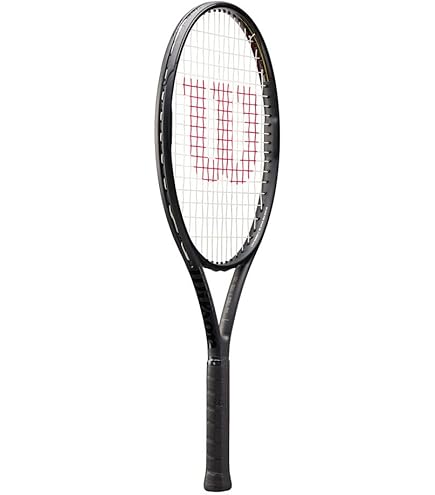 Babolat Pure Strike 18×20 Raqueta De Tenis (4. Generación) – Yaxa Guateala