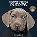 Puppies 2014 Wall Calendar (Wall Calendars) by