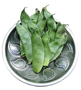 CooPany Dolichos Bean/Sheem/Lab Lab Beans/Hyacinth/Avarai Seeds (15 seeds)