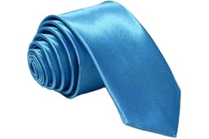 FATASH Boys Satin Elastic Neck Tie - Wedding, Prom, School Kids Clip-on Pre-Tied Tie with Elastic Neck Strap - Baby Necktie for Toddler School Uniforms and Formal Costume