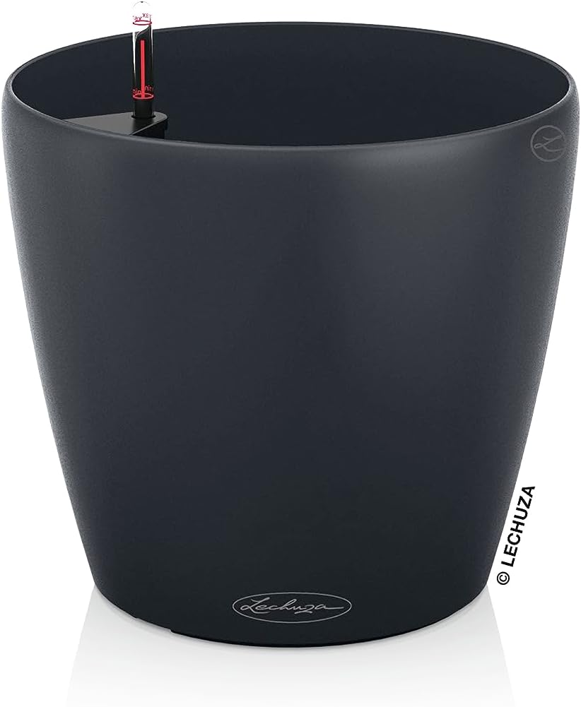 Vue 7