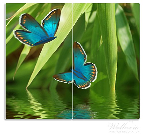 Wallario Herdabdeckplatte / Spritzschutz aus Glas, 2-teilig, 60x52cm, für Ceran- und Induktionsherde, Schmetterlinge in Reflektion