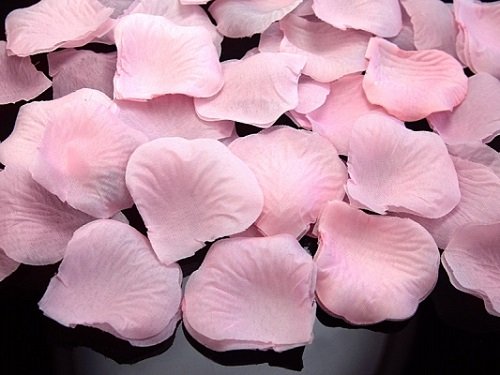 SiDeSo® 500 Rosenblätter Hochzeit Streublumen Blumenkinder Rosenblüten Tischdeko (rosa)