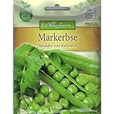 Chrestensen Markerbsen 'Wunder von Kelvedon' Saatgut