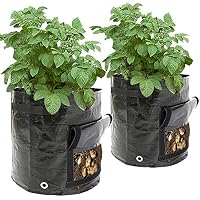 Bolsas para plantas | Amazon.es
