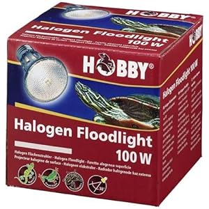 Diamond Halogen Floodlight, 100 W