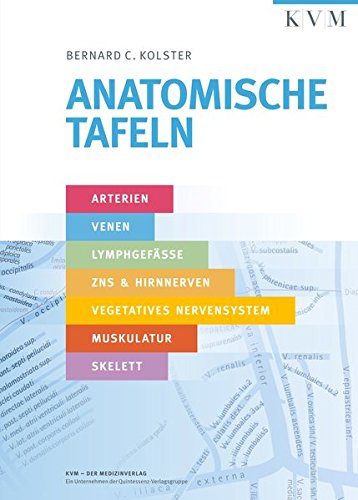 Anatomische Tafeln: Arterien, Venen, Lymphgefäße, ZNS & Hirnnerven, Vegetatives Nervensystem, Muskulatur, Skelett