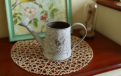 Französisch Stil Weiß Shabby Chic Mini-Metall-Pitcher Blumen-Vase mit Vintage Vogel Dekorative, Schmiedeeisen manuelle Pflanzen Vase mit Klassik - 3