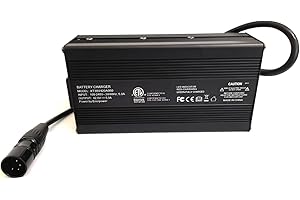 Enerpower Caricabatterie di ricambio BMZ 42 V 5 A 215 Watt BSC42005000 XLR-4 per Derby Cycle, Kalkhoff, sistemi impulse