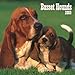 Basset Hounds, Broschürenkalender 2009 by