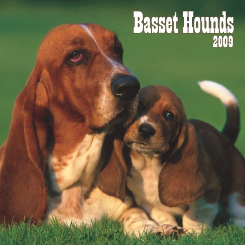 Basset Hounds, Broschürenkalender 2009