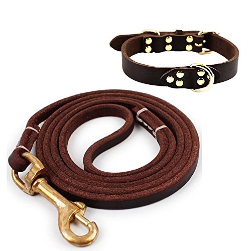 Fairwin-Leather-Dog-Lead-15M2M-Best-Dog-Training-Leash-Heavy-Duty-for-Large-Medium-Small-Dogs