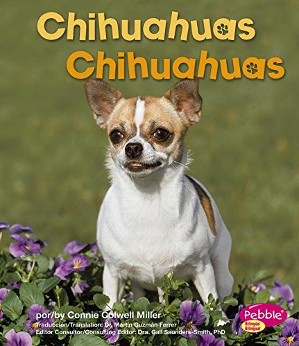 Chihuahuas/ Chihuahuas (Perritos/ Dogs)