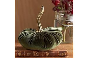 ACHIMLT Zucca Halloween Decorazioni Autunnali Zucche di Velluto Artificial Decorazioni Autunnali per Ringraziamento Halloween Finta Zucchi Artificiali Decorazioni Festa Autunnali (Green, One Size)