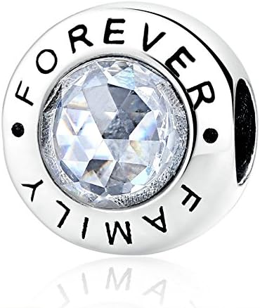 Family Forever with Clear CZ 925 Sterling Silver Bead Fits Pandora Charm Bracelet