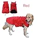 Produktbild Wasserdicht Pet Hunde Regenmantel Jacke Hund reflektierender Night Sicherheit Jacke Hoodies Pullover Fleece gefüttert für Wärme Brustschutz Haustier Hund Outdoor Kleidung Apparel Winter Warm für kleine medium Große Hunde