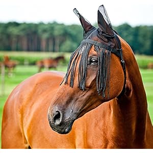 Weiche Fliegenmaske, Fliegenschutz mit Fransen, Auswahl:COB