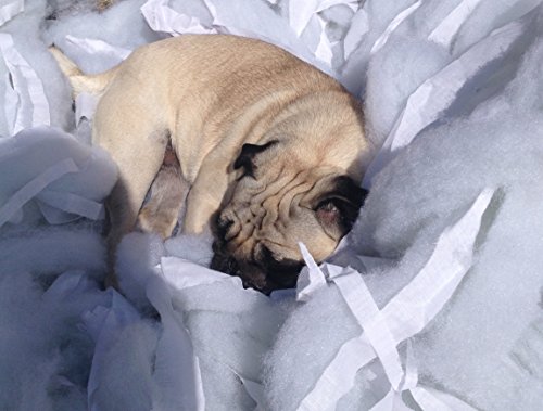 PET-durable-DOG-BEDS-WARM-DUVET-cushion-filling-large-size-SIZE-55X35-INCH